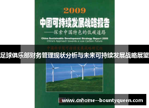 足球俱乐部财务管理现状分析与未来可持续发展战略展望
